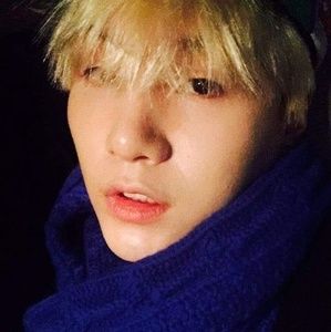 Meet your Posher, Van